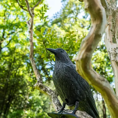 Lejlighed Flow Winkel Atelier *