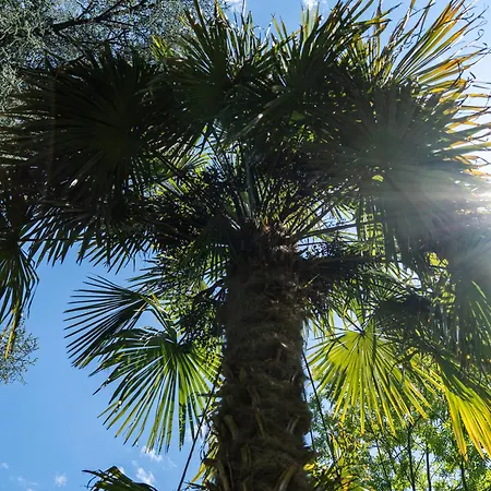 Flow Winkel Atelier *