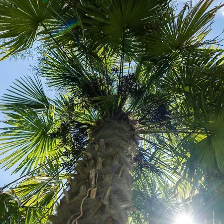 Apartment Flow Winkel Atelier