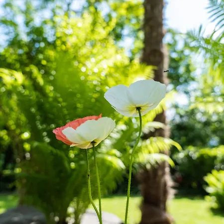 Lejlighed Flow Winkel Atelier Merano