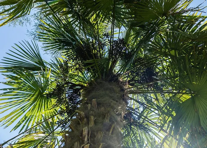 Flow Winkel Atelier * 梅拉诺