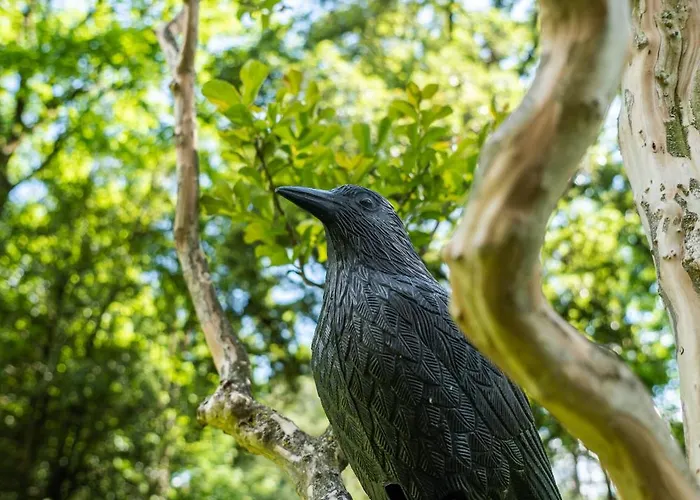 Daire Flow Winkel Atelier *