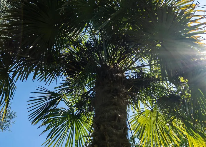 Flow Winkel Atelier *