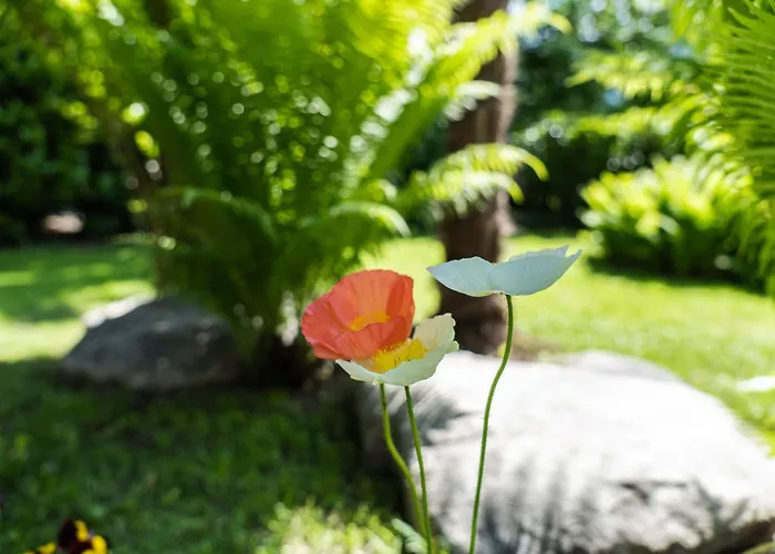 Flow Winkel Atelier *