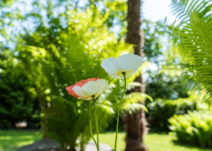 Daire Flow Winkel Atelier Merano